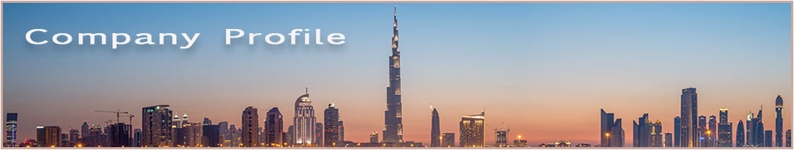 ITS Company profile UAE